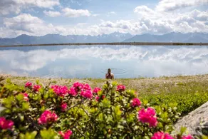 Holiday apartment with sauna | Nature view - Image 2