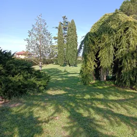 Grande appartamento in villa con ampio giardino – 6 posti letto - Image 3