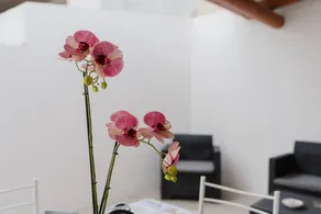 Merveilleux appartement avec barbecue, internet haut débit et jardin - Image 4