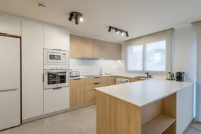 Fully equipped aparthotel with terrace | Mountain view | Perfect for remote work | Pet-friendly - Image 5