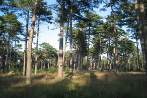 Holiday home with terrace & sauna - Image 4