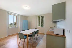 Apartment 'The Spinning' in Historischer Villa - Image 2