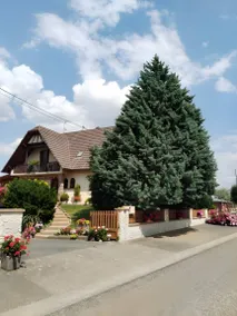 Child-friendly bed & breakfast with terrace & garden | Garden view | Good for workation | Pets are welcome - Image 2