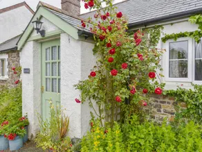 Family-friendly wonderful cottage with garden | Beach view | Pets allowed - Image 3