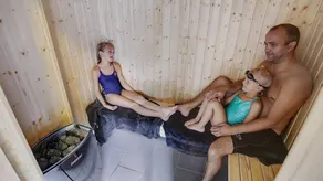 Children-friendly holiday home with sauna, garden & private pool | Pet-friendly - Image 4