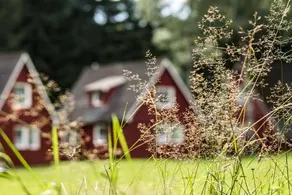 House with terrace | Pets are welcome - Image 2