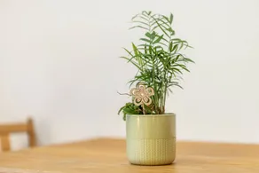 Fantastico appartamento con giardino | Vista sulla città | Perfetto per il lavoro da remoto | Accetta animali domestici - Image 4
