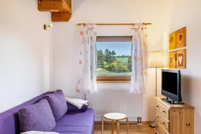 House with terrace & garden | Garden view - Image 3
