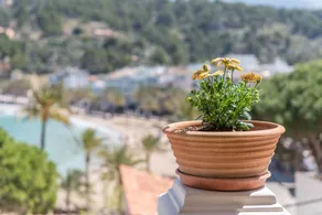 Villa on the Beach with Sea View in Port de Soller. Garden and Wi-Fi - Image 4