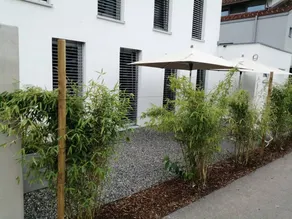 Studio with terrace - Image 3