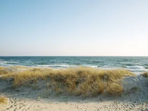 "Eftim" - 600m from the sea - Image 4