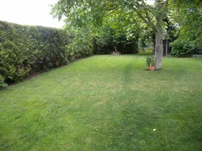 Flat with barbecue & garden - Image 4