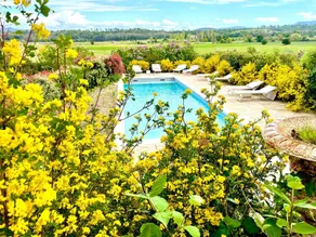 Château Trians – Domaine d'exception en Provence - Image 3