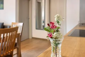 Apartment 'Ferienwohnung Gutach' with Shared Garden, Balcony and Wi-Fi - Image 5