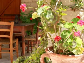 Apartment with BBQ & garden - Image 4