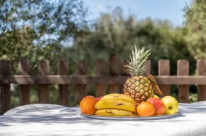 Maison de vacances avec internet haut débit, jardin et terrasse | Vue jardin - Image 4