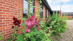 Holiday home with 5 rooms for 10 persons - Image 2