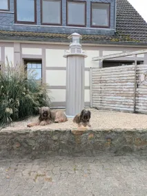 Appartamento | Ammette animali domestici - Image 3