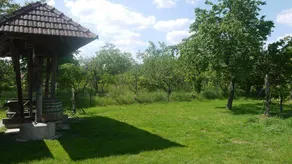 Weinbau - Camping - Gästezimmer Ettenauer (Rohrendorf bei Krems) - Image 2