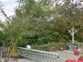 Family-oriented nice cottage with garden - Image 3