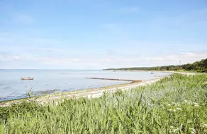 Charming holiday home with terrace & barbecue | Close to the beach - Image 2
