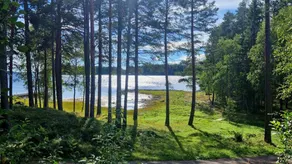 Charming Cabin with Scenic Views - Image 4