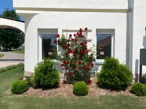 Holiday apartment with barbeque, terrace & garden | Garden view - Image 3