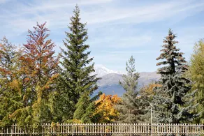Fully equipped lovely flat with garden & terrace | Mountain view | Ski nearby | Pet-friendly - Image 3