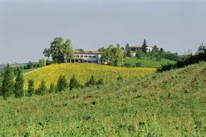 Cascina Favorita: Camera Quadrupla - Image 2