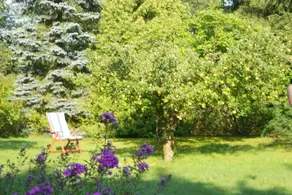 House with garden - Image 3
