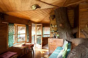 Eco-Friendly Tree House in the Peloponnisos Valley of Greece - Image 2