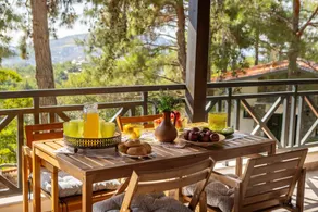 Villa with terrace, barbecue & garden - Image 2