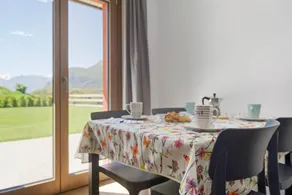 Wonderful holiday apartment with terrace & garden | Mountain view - Image 5