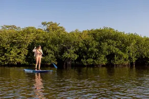 Luxurious Tented Cabin Nestled in the Nature of the Yucatan Peninsula for a Peaceful Escape near Merida, Mexico - Image 4
