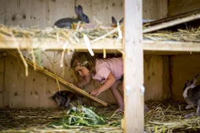 Family-friendly cabin with terrace, sauna & garden | Dogs allowed - Image 3