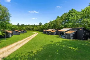 Beautiful holiday home with terrace | Pets are welcome - Image 5