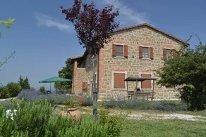 Lucciola Bella: PAPAVERO - Image 5