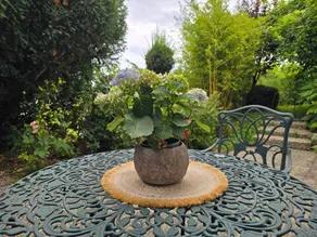 Attraente monolocale con terrazza e giardino | Vista sul lago - Image 2