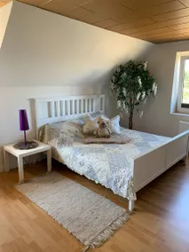 Dedicated room | Garden view - Image 2
