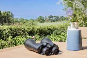 Nice holiday home with sauna & BBQ | Pets are welcome - Image 4