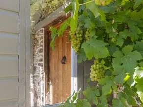 Child-friendly cottage with garden | Pets are welcome - Image 2
