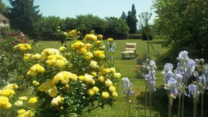 B&B with garden & terrace - Image 5