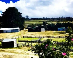 Pet-Friendly Cottage Getaway on a Farm near Hamilton, Tasmania - Image 5