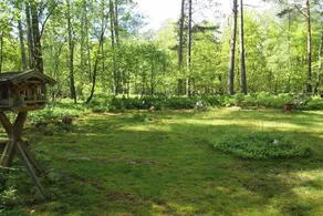 Bungalow with garden & barbecue | Pets are welcome - Image 5