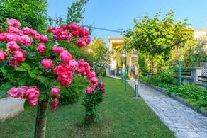 Apartamento con terraza y jardín | Acepta mascotas - Image 2