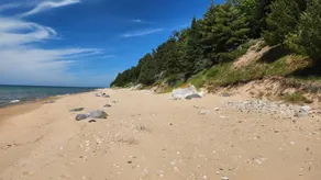 Tree Fort - Honeymoon Cottage On Lake Michigan - Image 4