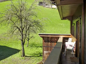 Nice apartment with garden - Image 2