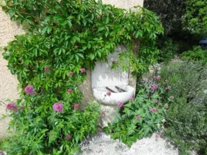 Pleasant house with terrace, garden & private pool | Nature view | Pets allowed - Image 5