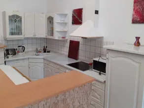 Apartment with garden - Image 4