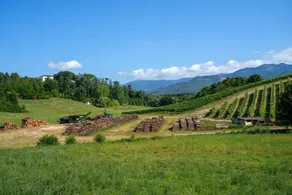 Countryside House Near To Pratomagno - Image 3